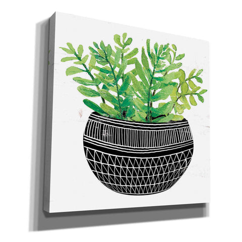 Image of 'Mud Cloth Succulent V' by Cindy Jacobs, Canvas Wall Art