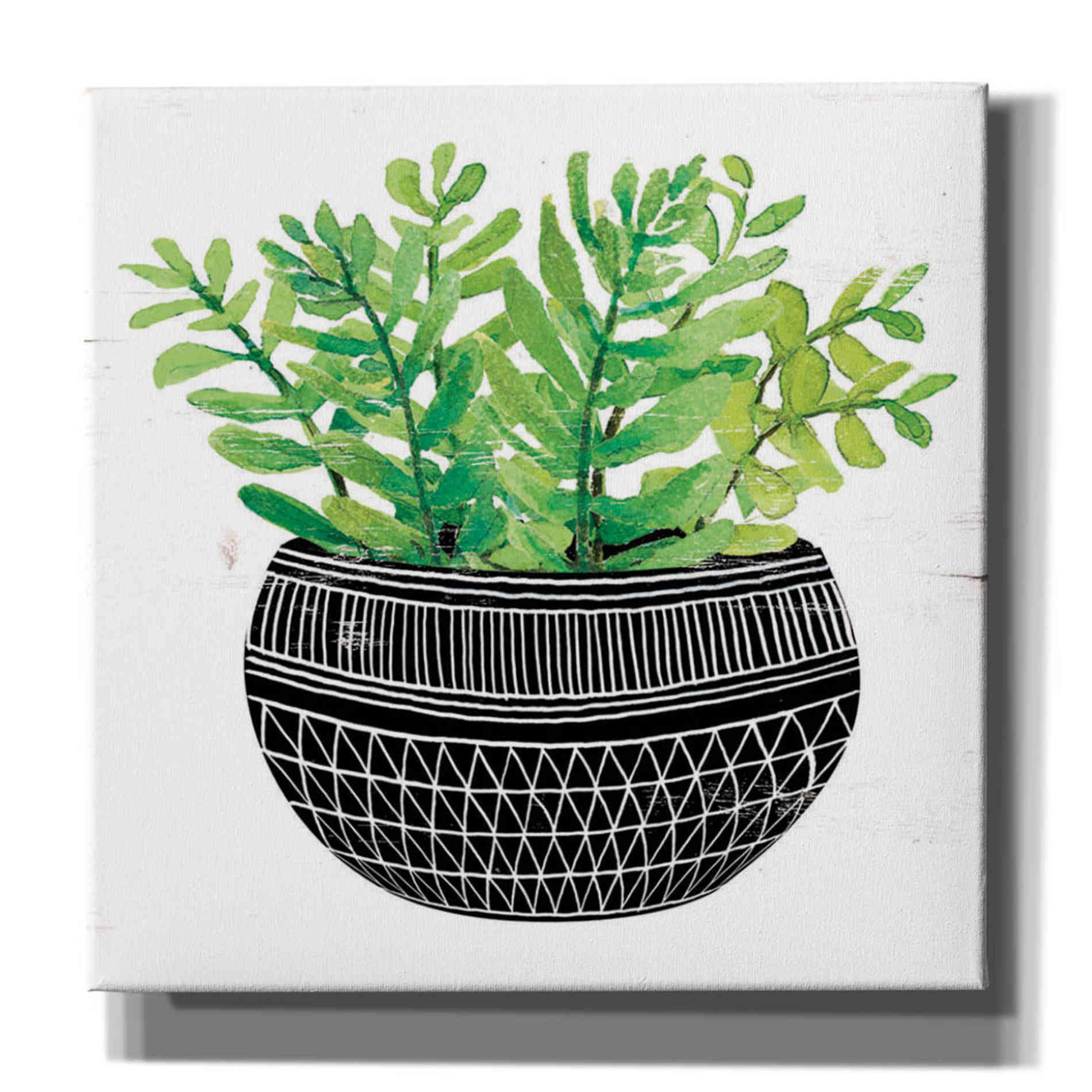 'Mud Cloth Succulent V' by Cindy Jacobs, Canvas Wall Art