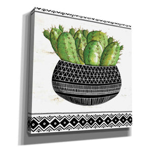 'Mud Cloth Black and White Succulent I' by Cindy Jacobs, Canvas Wall Art