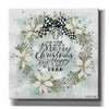 'We Wish You a Merry Christmas' by Cindy Jacobs, Canvas Wall Art