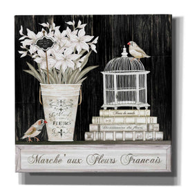 'Amaryllis Still Life' by Cindy Jacobs, Canvas Wall Art