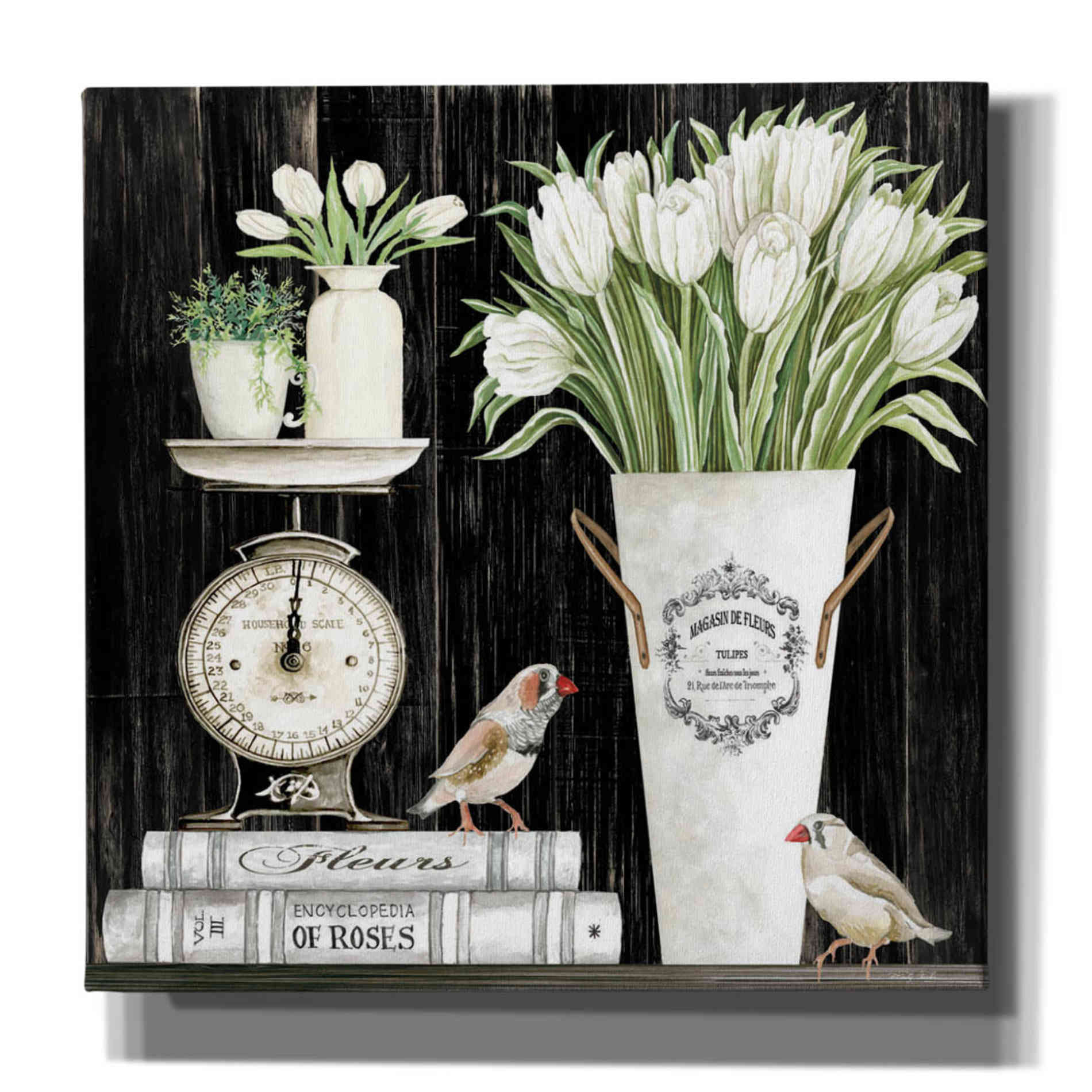 'Tulips and Scales' by Cindy Jacobs, Canvas Wall Art