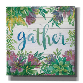 'Gather Succulents' by Cindy Jacobs, Canvas Wall Art