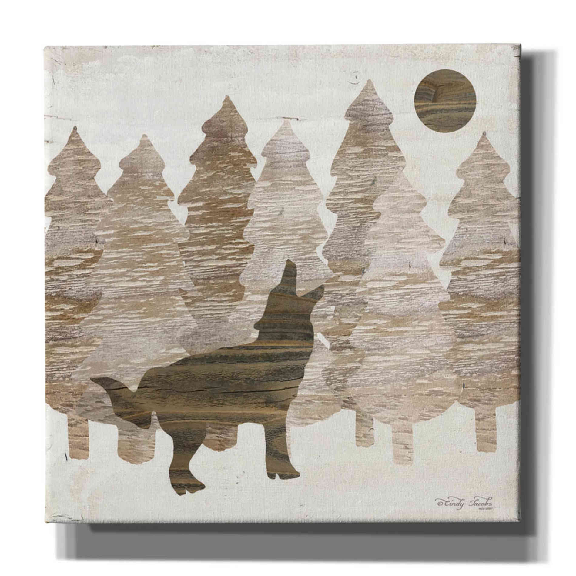 'Howl at the Moon I' by Cindy Jacobs, Canvas Wall Art