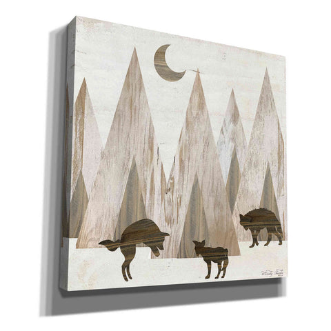 Image of 'Night Play' by Cindy Jacobs, Canvas Wall Art