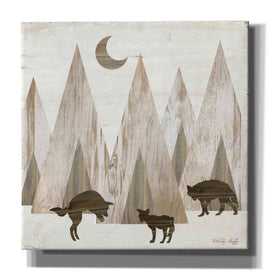 'Night Play' by Cindy Jacobs, Canvas Wall Art