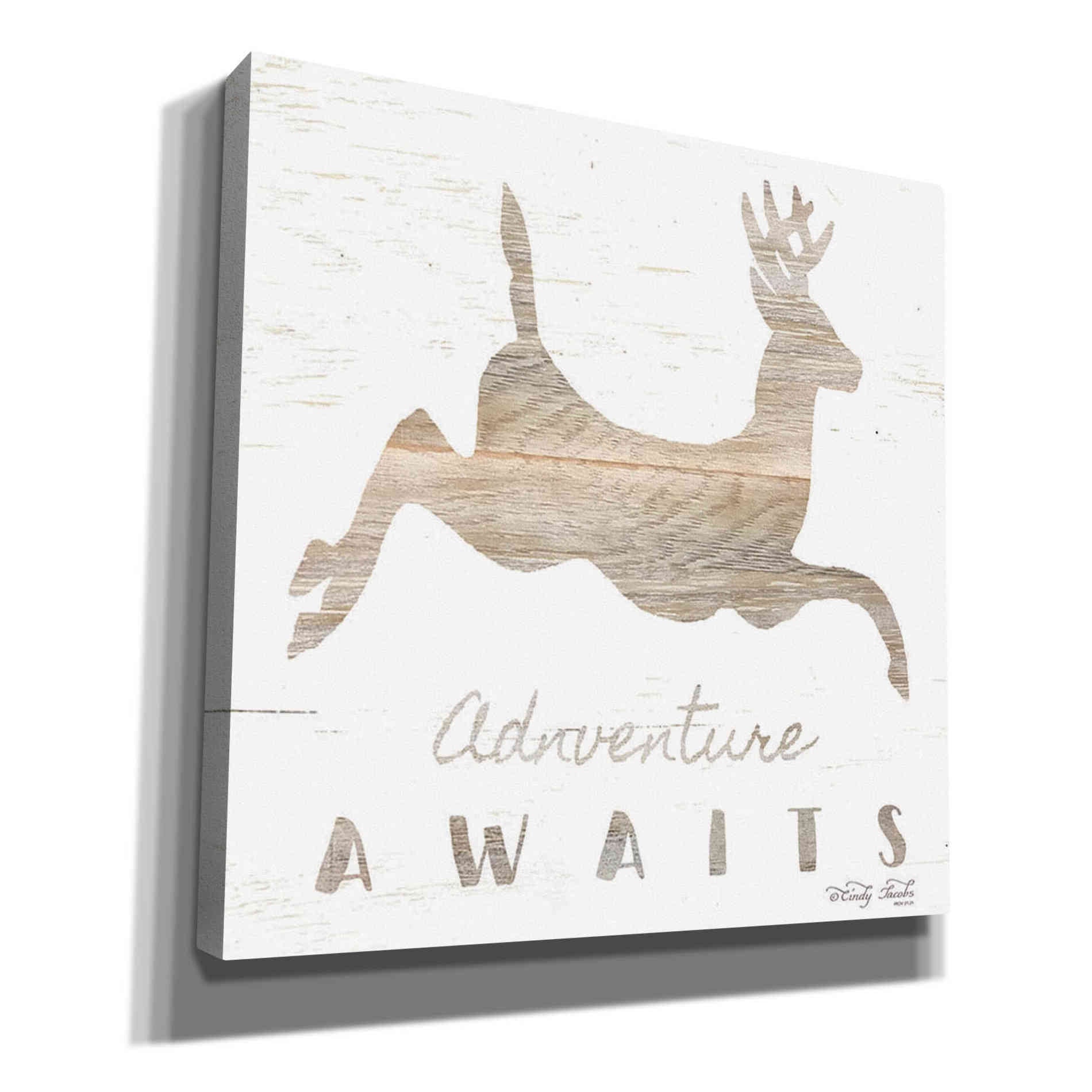'Adventure Awaits Deer' by Cindy Jacobs, Canvas Wall Art