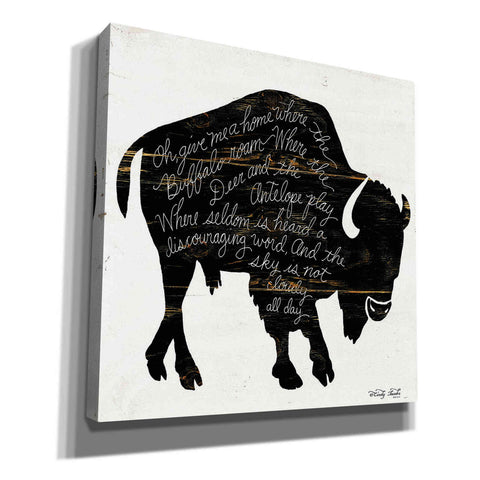Image of 'Buffalo in Black' by Cindy Jacobs, Canvas Wall Art
