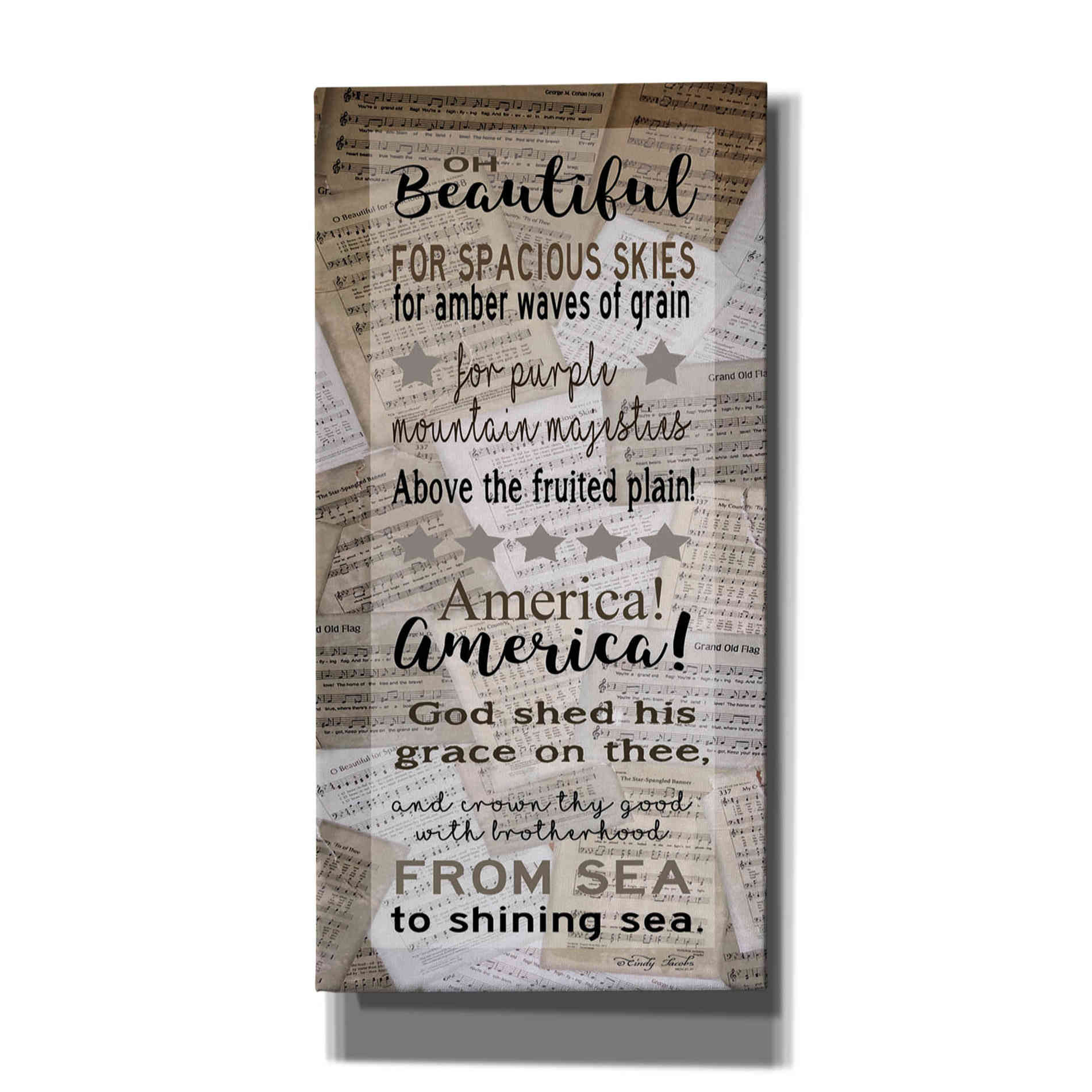 'Oh Beautiful' by Cindy Jacobs, Canvas Wall Art