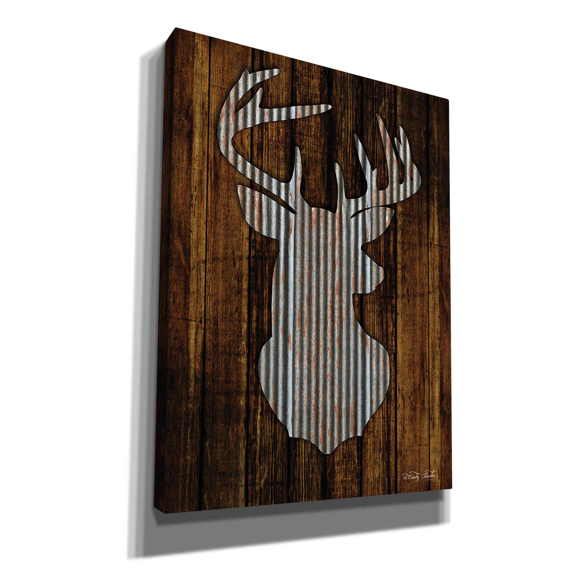 'Deer Head I' by Cindy Jacobs, Canvas Wall Art