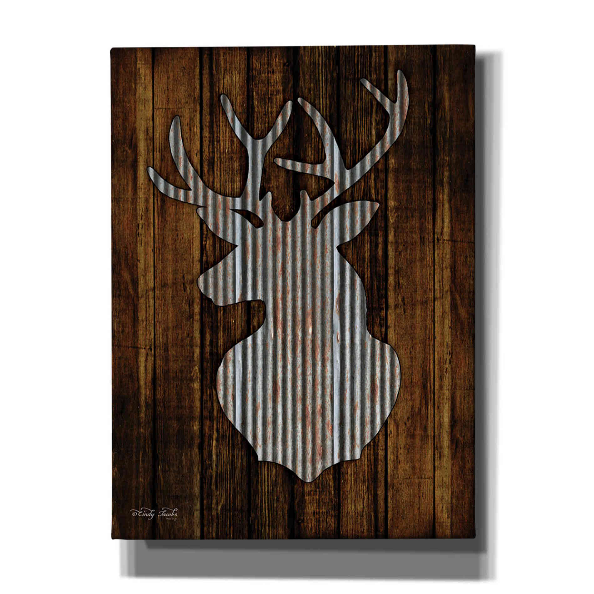'Deer Head II' by Cindy Jacobs, Canvas Wall Art