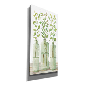 'Simple Leaves in Jar II' by Cindy Jacobs, Canvas Wall Art