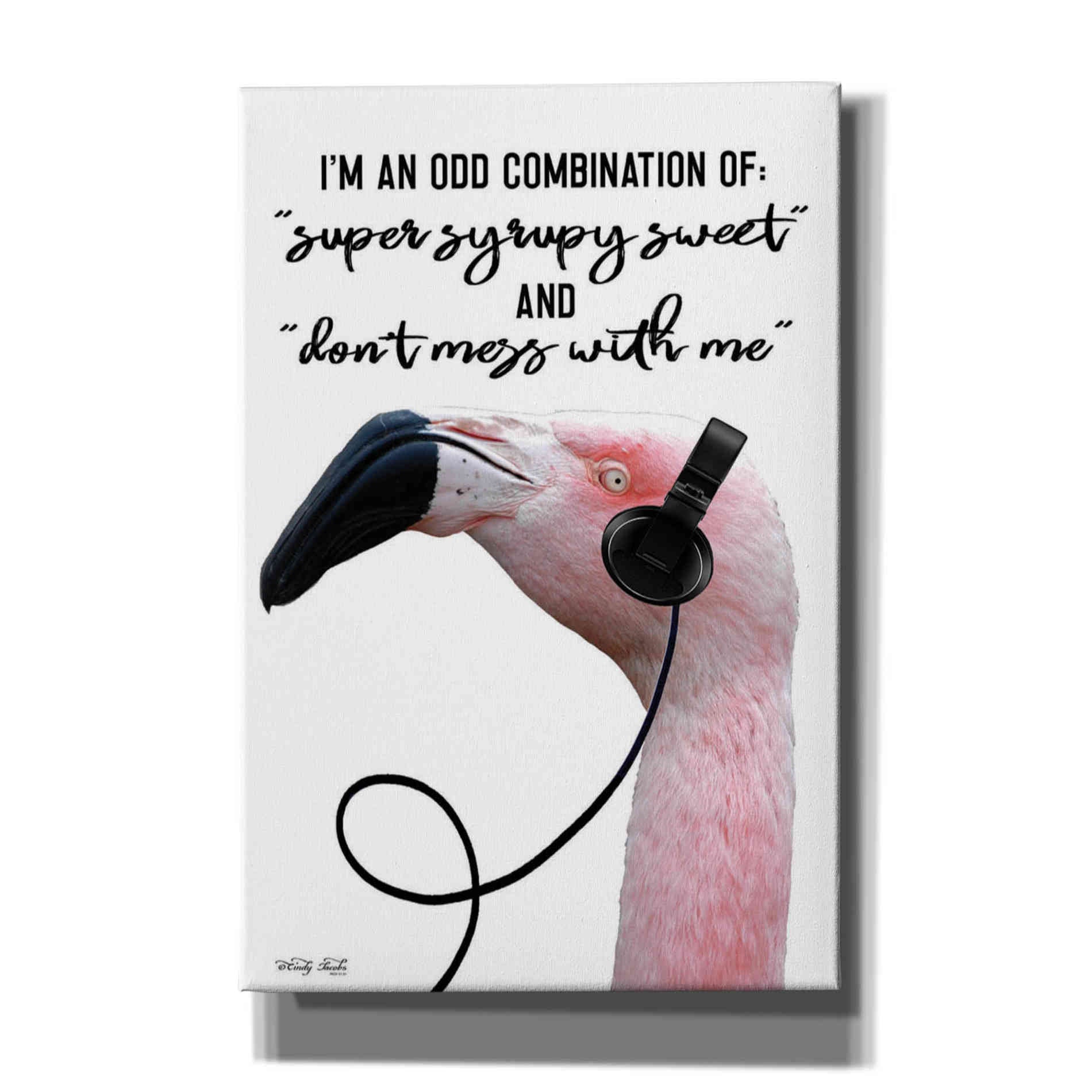 'I'm an Odd Combination' by Cindy Jacobs, Canvas Wall Art