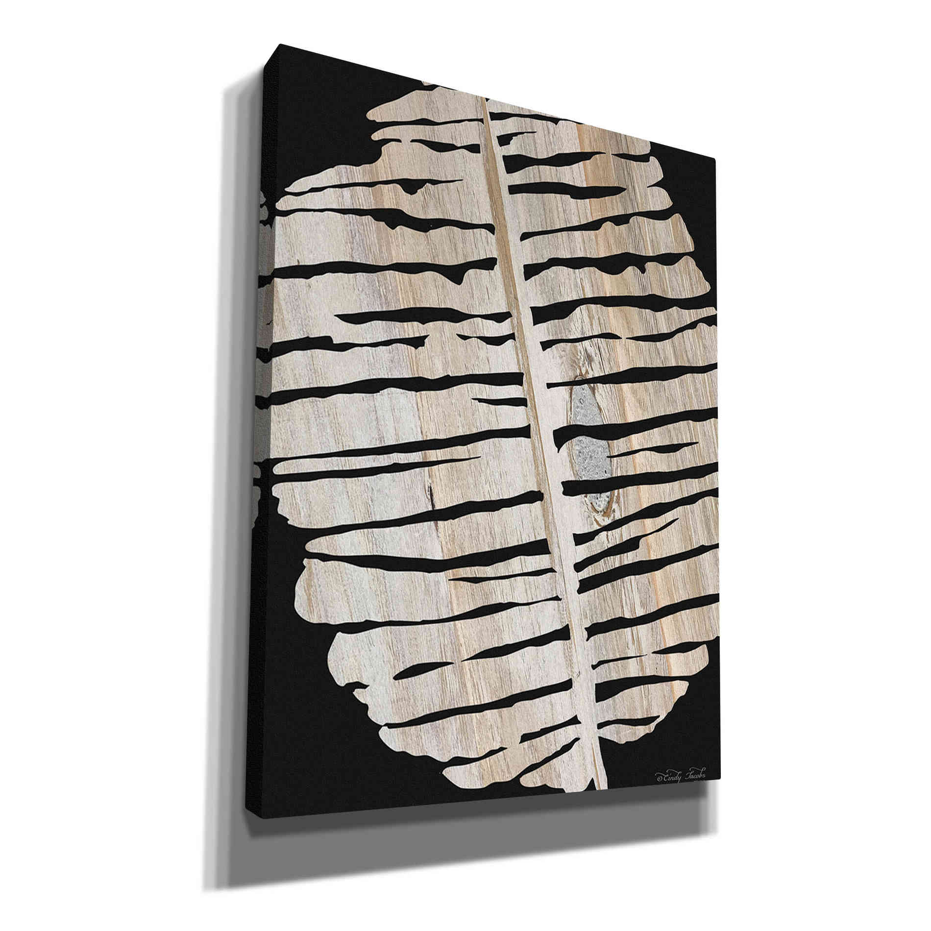 'Palm Frond Wood Grain II' by Cindy Jacobs, Canvas Wall Art