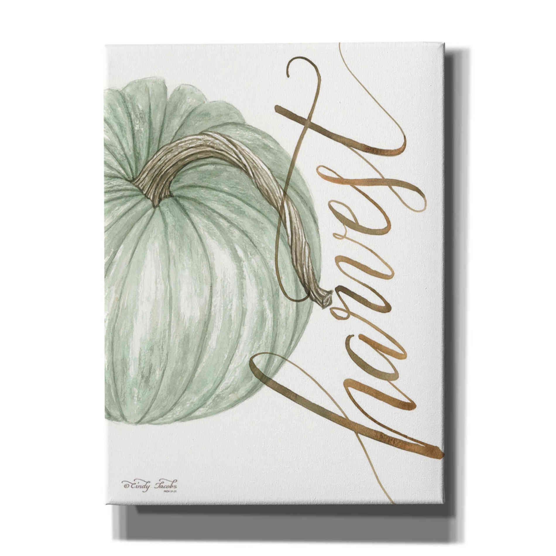 'Harvest Pumpkin' by Cindy Jacobs, Canvas Wall Art