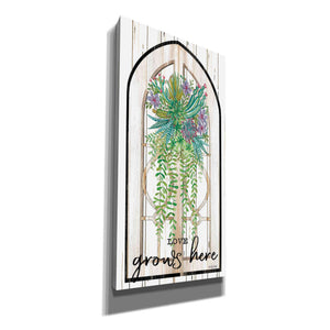 'Love Grows Here' by Cindy Jacobs, Canvas Wall Art
