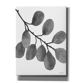 'Leaves in Gray I' by Cindy Jacobs, Canvas Wall Art
