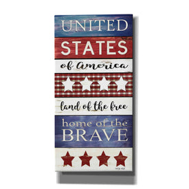 'United States Panel' by Cindy Jacobs, Canvas Wall Art