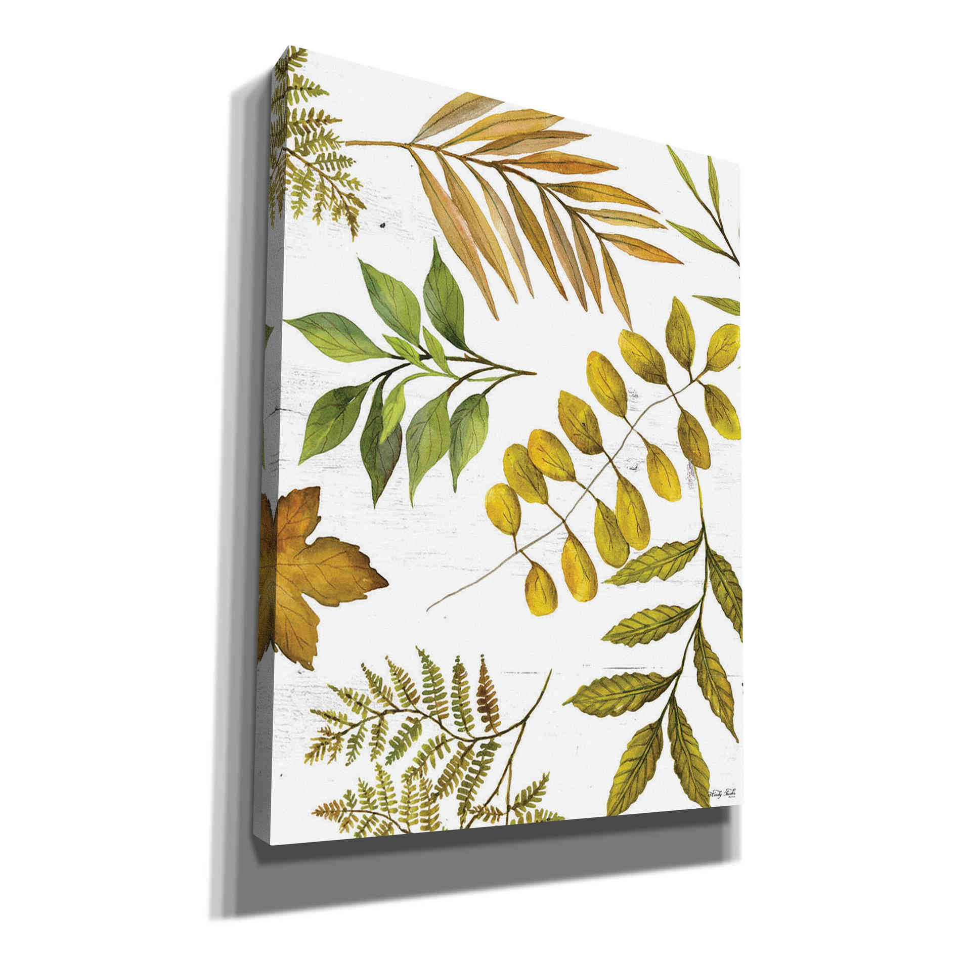 'Leaf Patterns I' by Cindy Jacobs, Canvas Wall Art