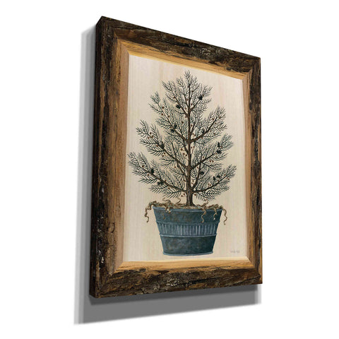 Image of 'Woodland Potted Tree I' by Cindy Jacobs, Canvas Wall Art