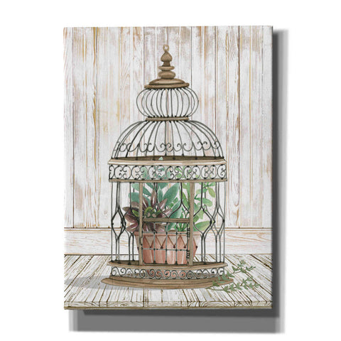 Image of 'Caged Beauty I' by Cindy Jacobs, Canvas Wall Art