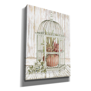 'Caged Beauty II' by Cindy Jacobs, Canvas Wall Art
