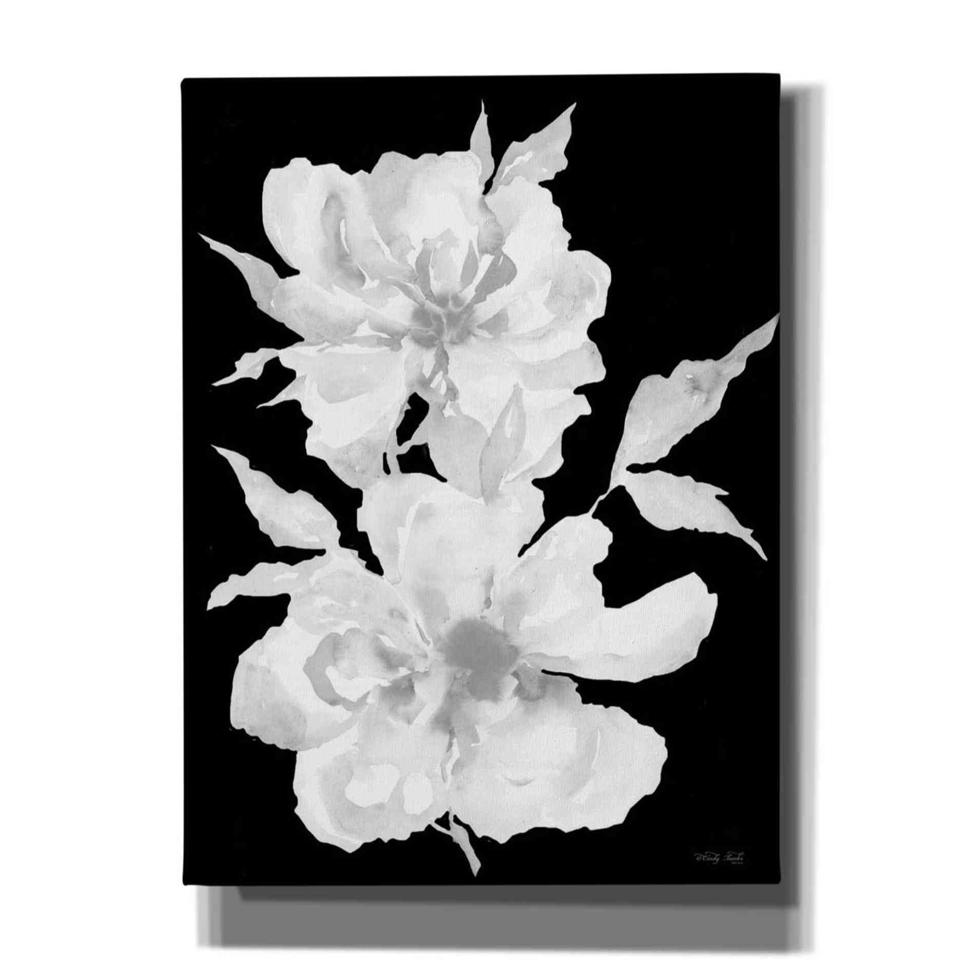 'Black & White Flowers I' by Cindy Jacobs, Canvas Wall Art