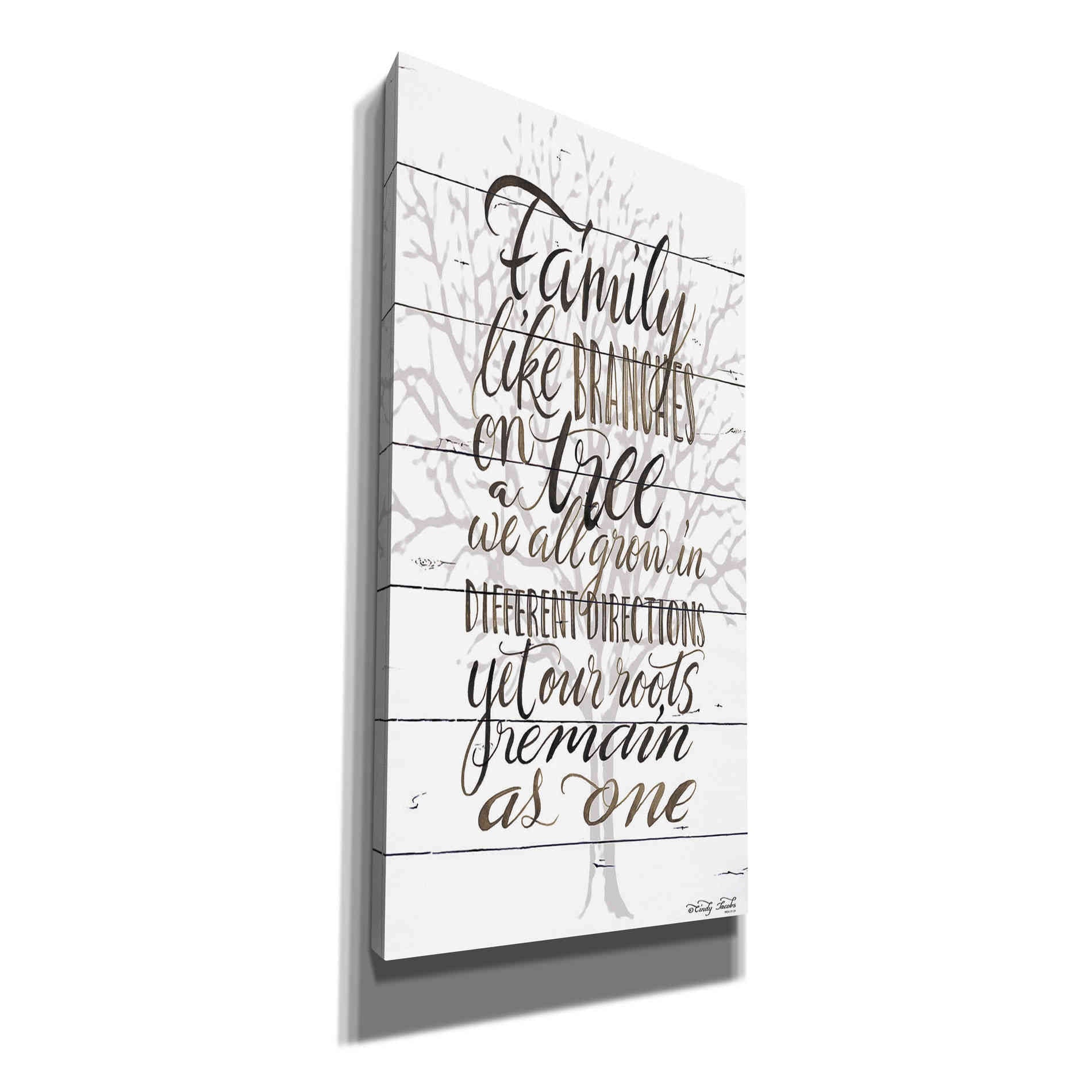 'Family' by Cindy Jacobs, Canvas Wall Art