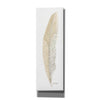 'Tonal Feather I' by Cindy Jacobs, Canvas Wall Art
