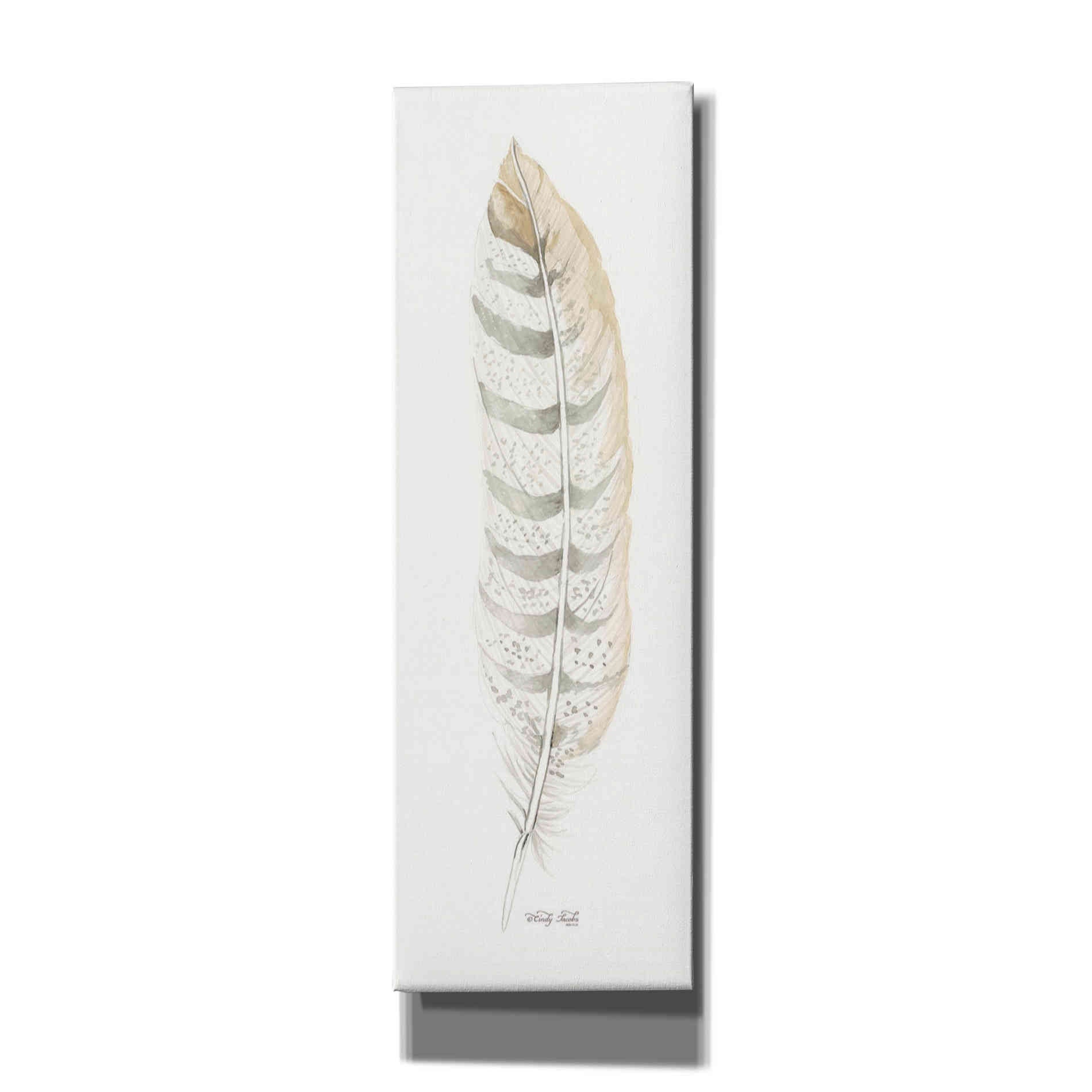 'Tonal Feather II' by Cindy Jacobs, Canvas Wall Art