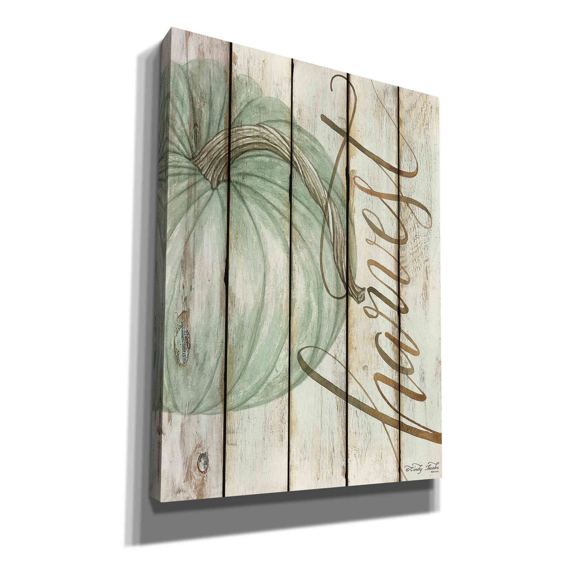 'Harvest Pumpkin on Shiplap' by Cindy Jacobs, Canvas Wall Art