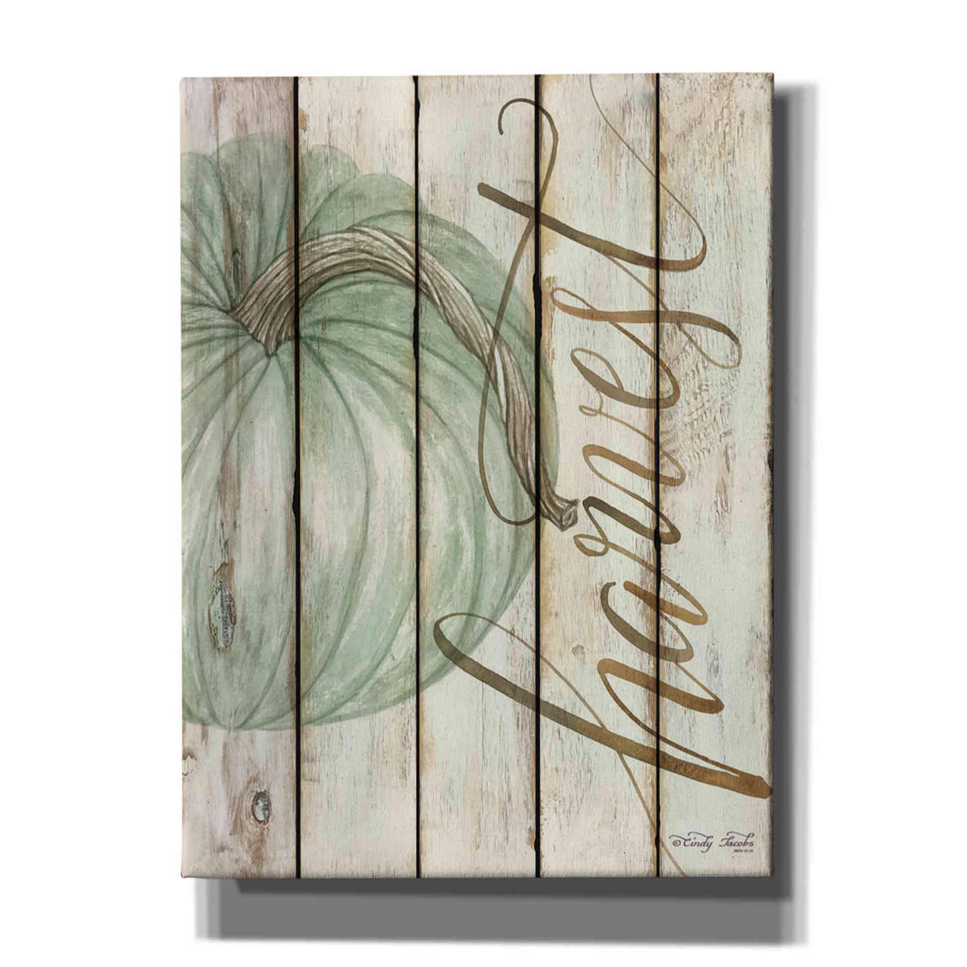 'Harvest Pumpkin on Shiplap' by Cindy Jacobs, Canvas Wall Art