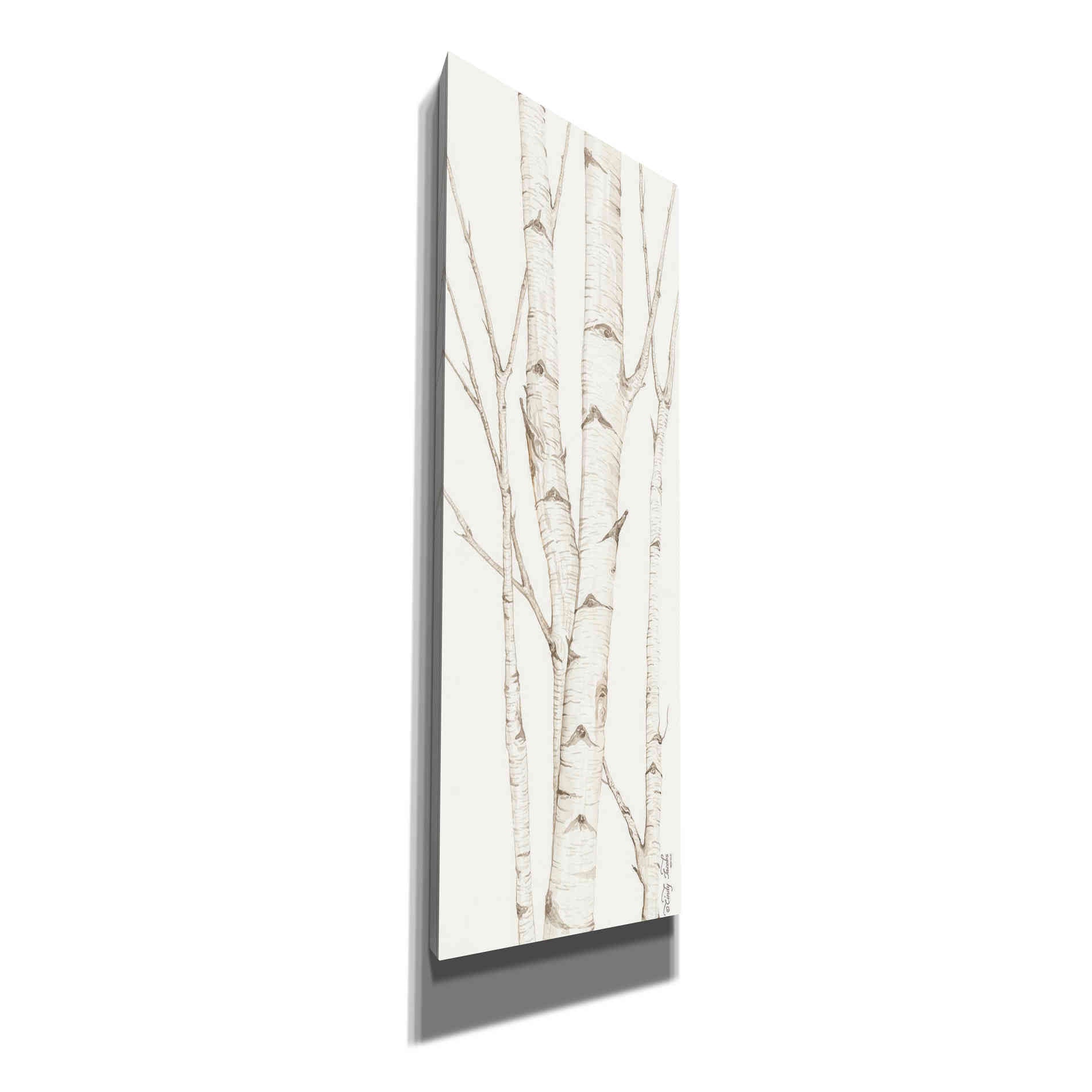 'Birch Trees II' by Cindy Jacobs, Canvas Wall Art