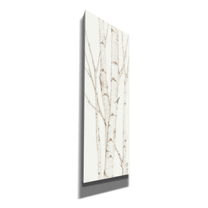 'Birch Trees II' by Cindy Jacobs, Canvas Wall Art