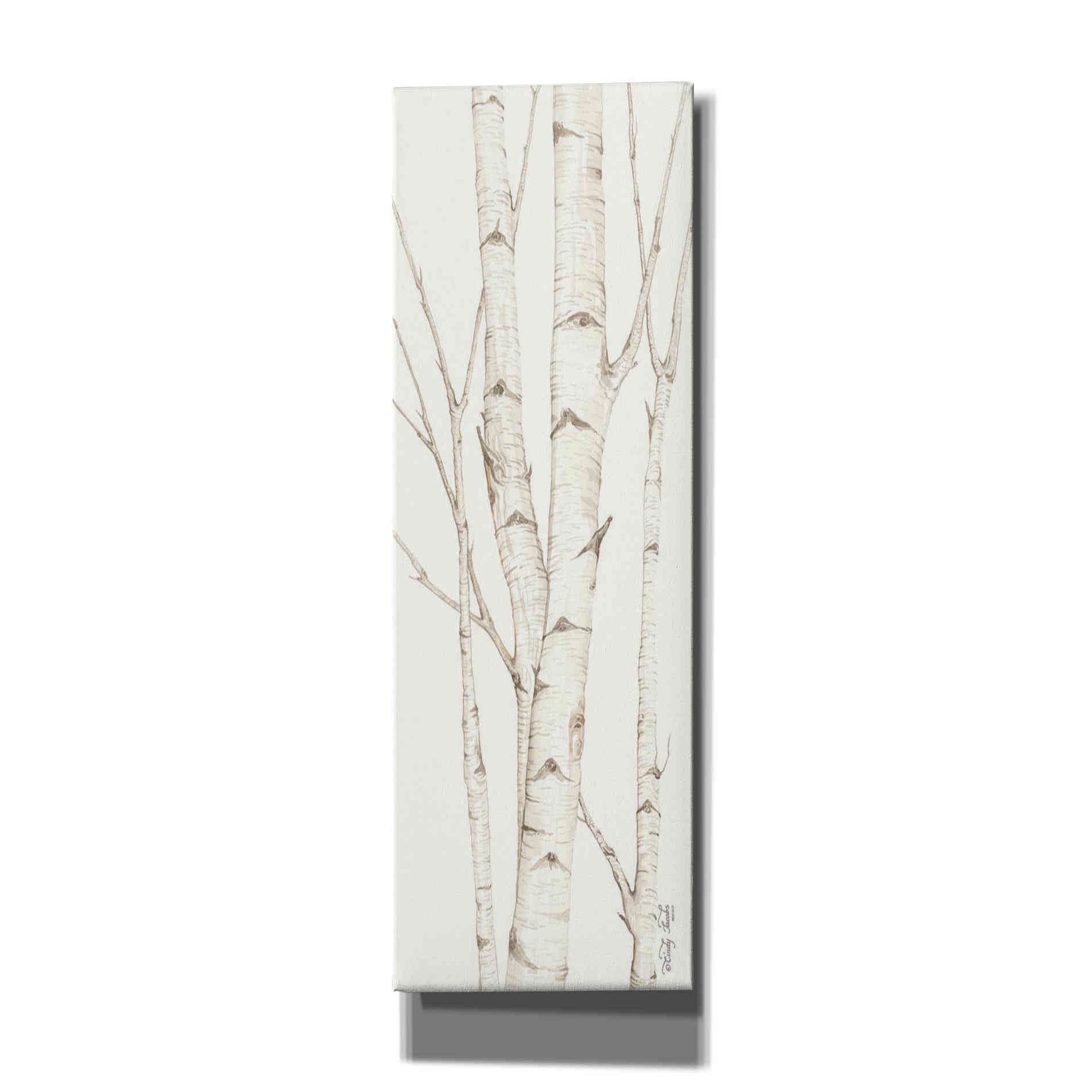 'Birch Trees II' by Cindy Jacobs, Canvas Wall Art