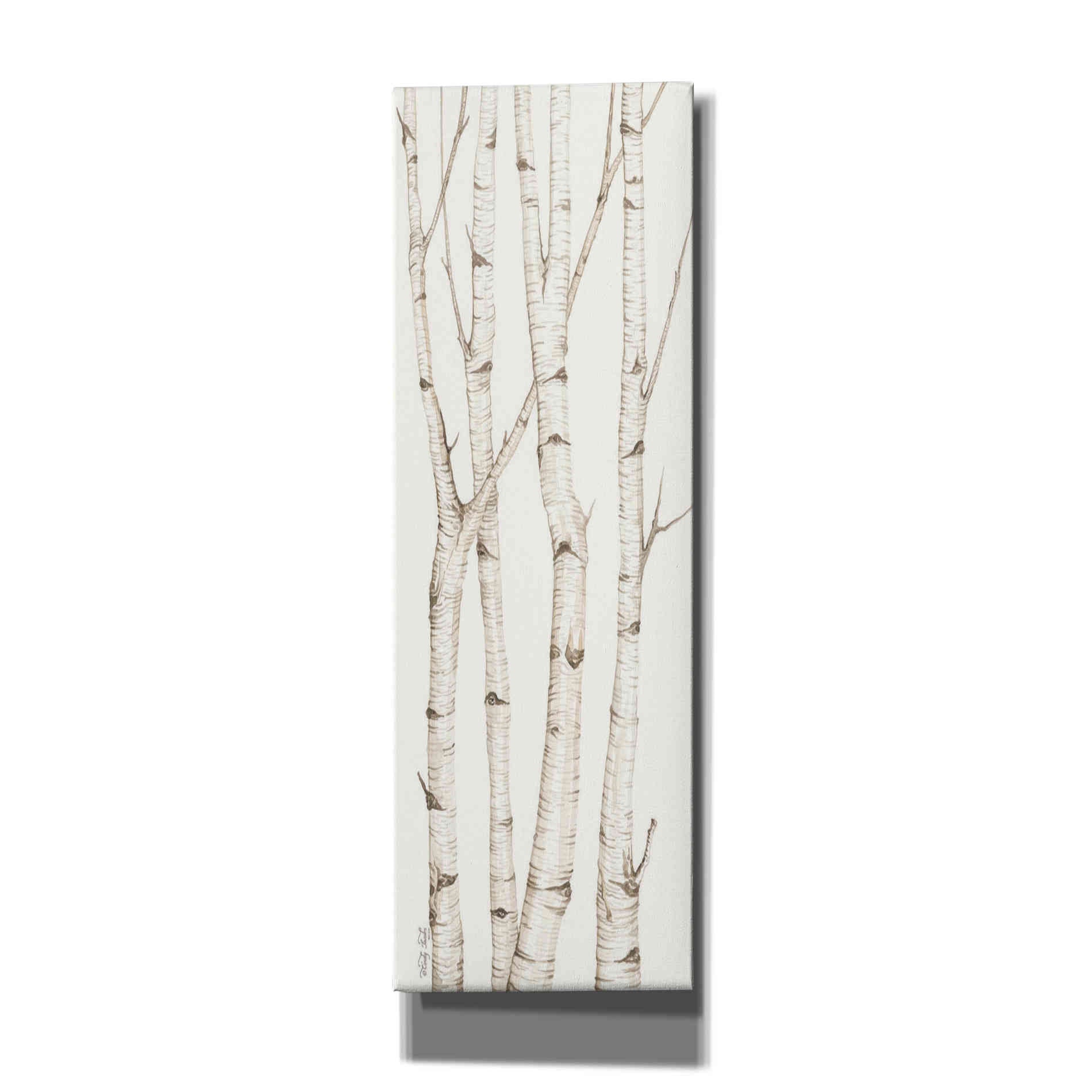 'Birch Trees III' by Cindy Jacobs, Canvas Wall Art
