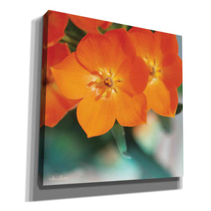 'Floral Pop III' by Lori Deiter, Canvas Wall Art