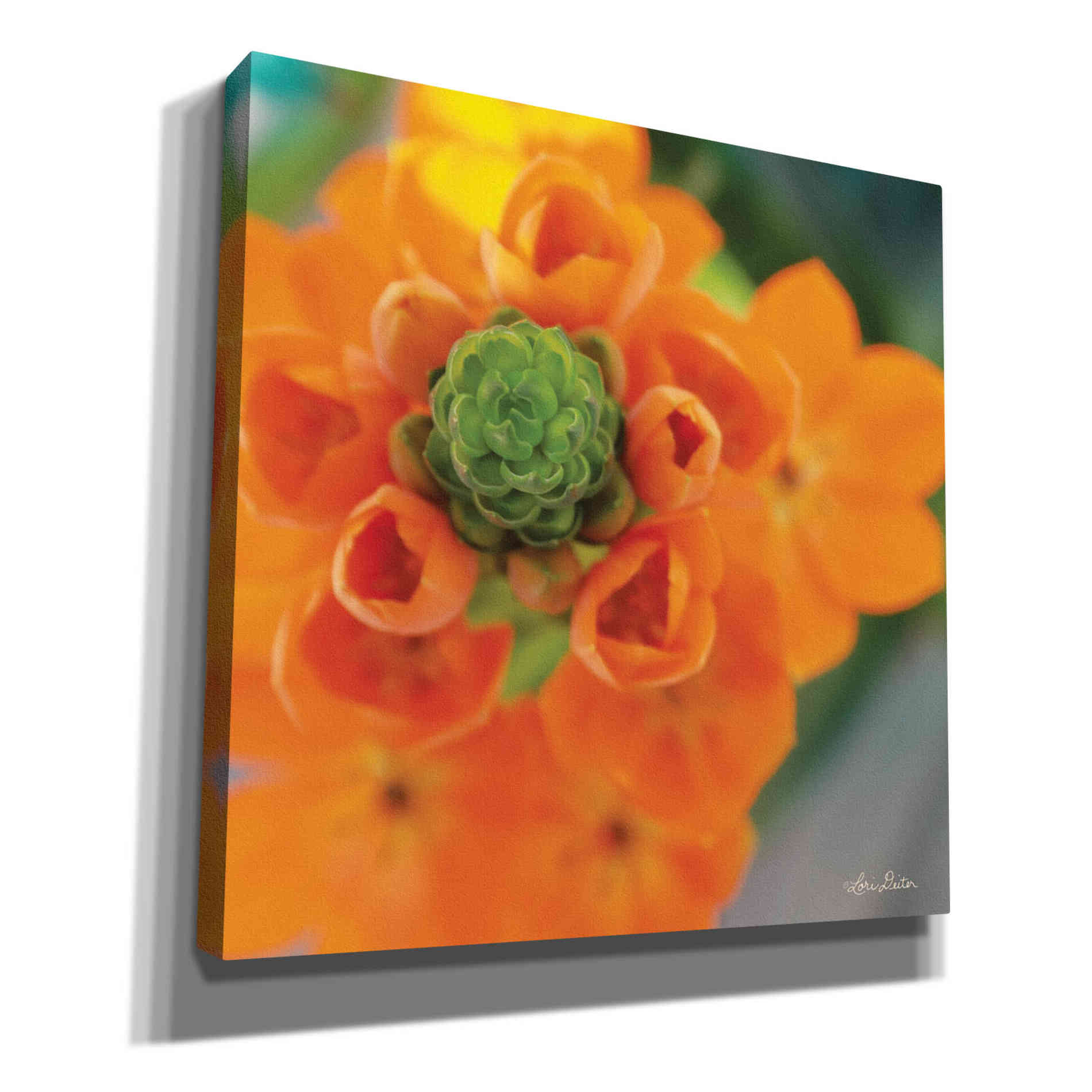 'Floral Pop IV' by Lori Deiter, Canvas Wall Art