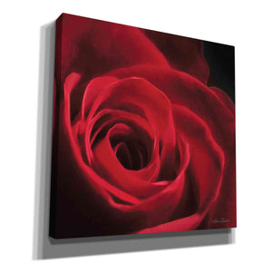 'The Red Rose I' by Lori Deiter, Canvas Wall Art