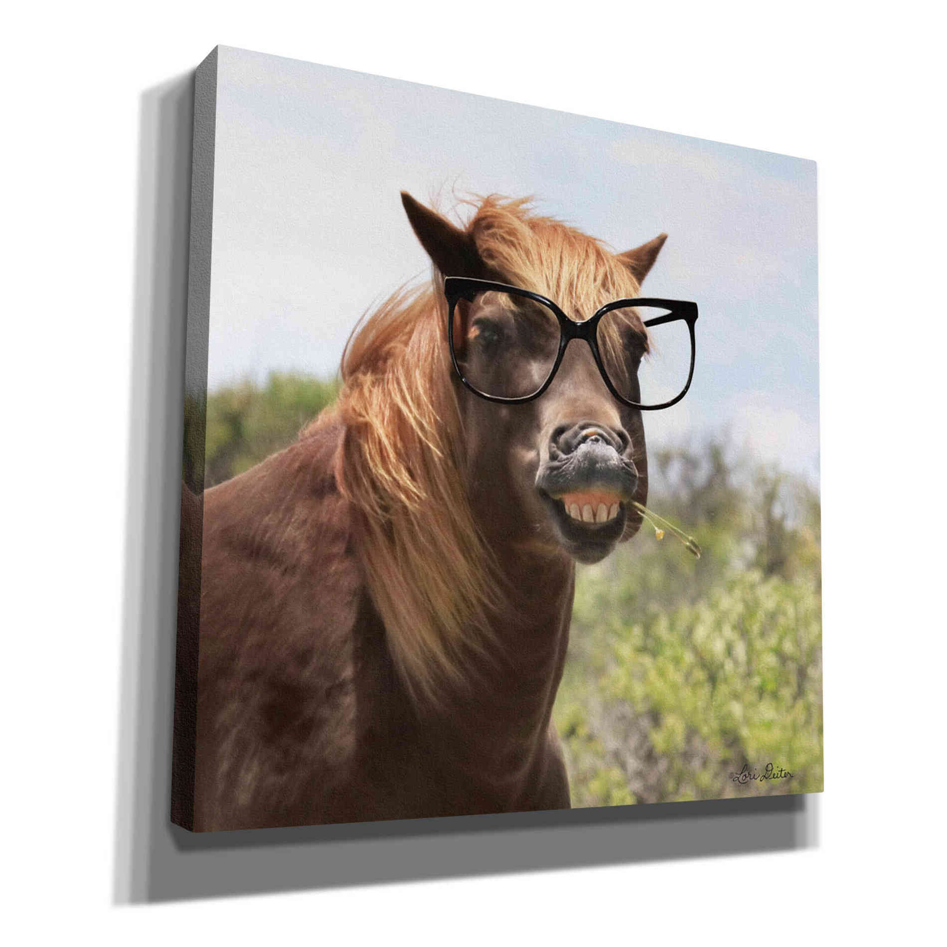 'Say Cheese Horse' by Lori Deiter, Canvas Wall Art