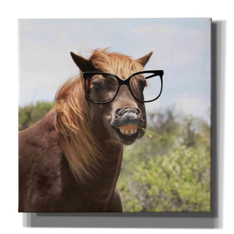 Image of 'Say Cheese Horse' by Lori Deiter, Canvas Wall Art