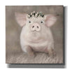 'Painted Piggy' by Lori Deiter, Canvas Wall Art