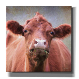 'The Brown Cow' by Lori Deiter, Canvas Wall Art