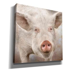 'Pig Face' by Lori Deiter, Canvas Wall Art