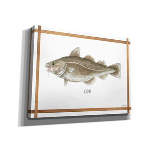 'Cod on White' by Cindy Jacobs, Canvas Wall Art