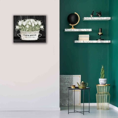 Image of 'Farmhouse Tulips' by Cindy Jacobs, Canvas Wall Art,24 x 20