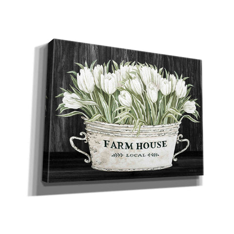 Image of 'Farmhouse Tulips' by Cindy Jacobs, Canvas Wall Art