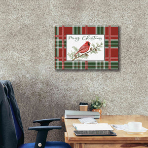 'Merry Christmas Cardinal' by Cindy Jacobs, Canvas Wall Art,26 x 18