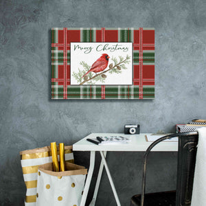'Merry Christmas Cardinal' by Cindy Jacobs, Canvas Wall Art,26 x 18