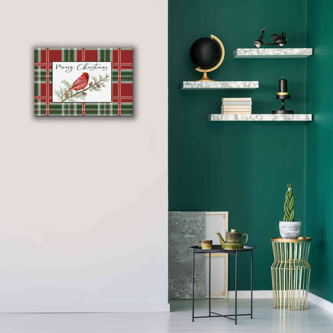Image of 'Merry Christmas Cardinal' by Cindy Jacobs, Canvas Wall Art,26 x 18